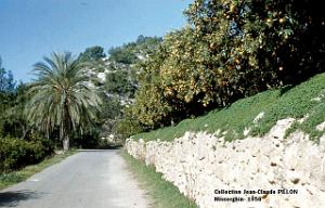 Images d'Algerie 091a